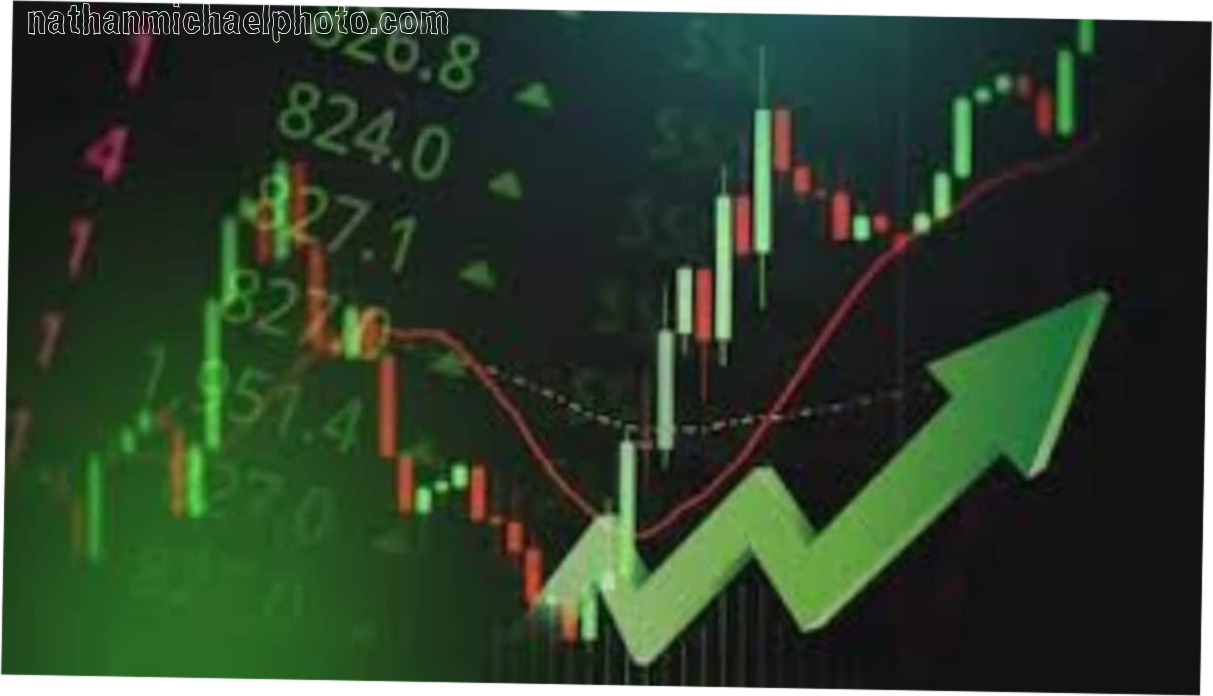 Sensex, Nifty Rebound After Three-Day Slide as Global Cues and India–US Trade Optimism Lift Markets